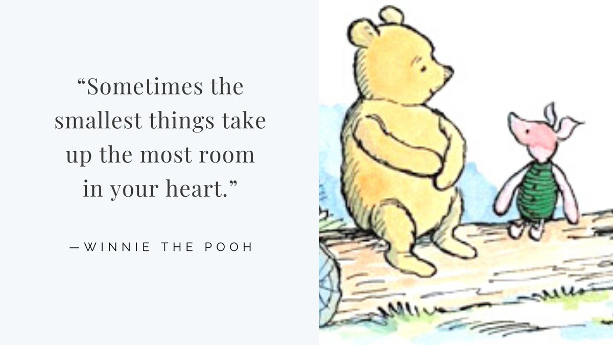 “Sometimes the smallest things take up the most room in your heart.”
—Winnie the Pooh - pooh and piglet sitting on a log