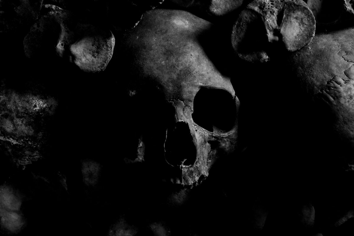 Black and white image of a skull.