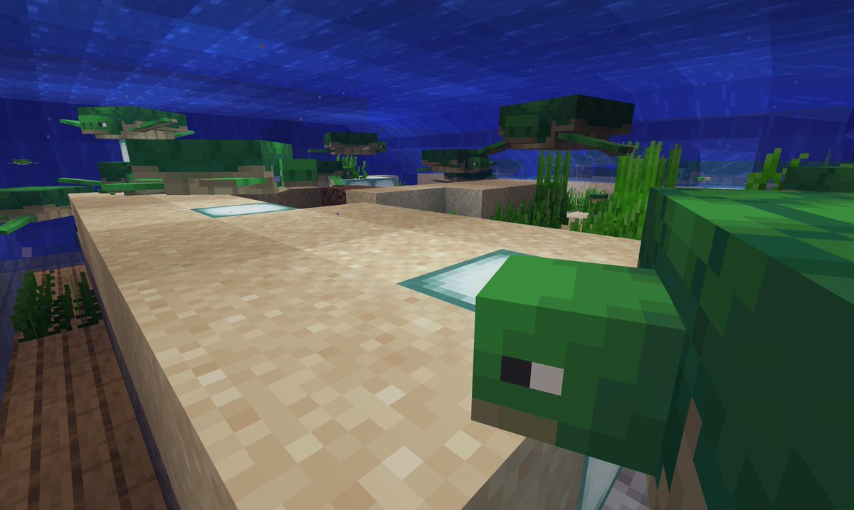 Screenshot of Minecraft turtle